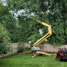 Best Tree Maintenance Programs  in Sebastian, TX