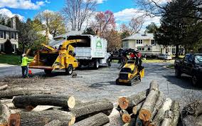 Best Firewood Processing and Delivery  in Sebastian, TX