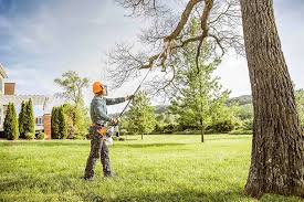 Lawn Drainage Solutions in Sebastian, TX