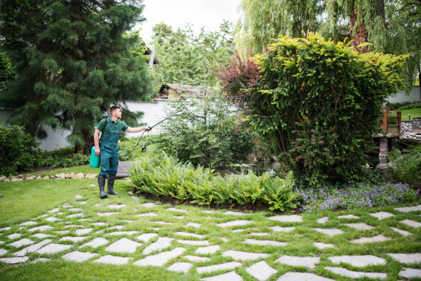Best Arborist Consultation Services  in Sebastian, TX